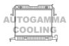 OPEL 03093049 Radiator, engine cooling